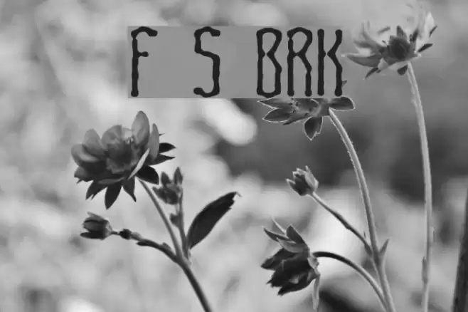 Fascii Smudge BRK Fuentes examples