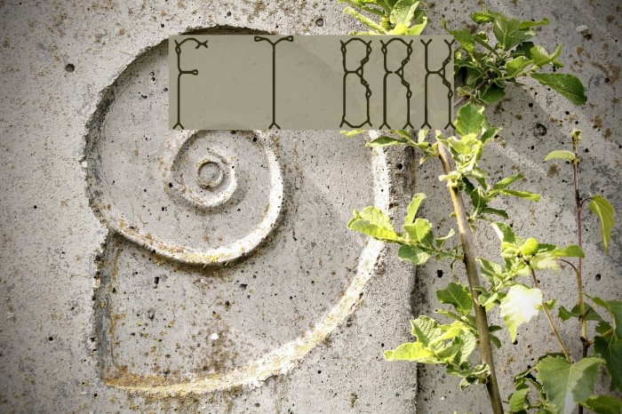 Fascii Twigs BRK Font examples