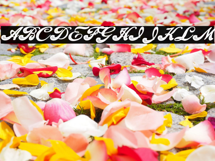 Fascinate Personal Use Regular Example 2