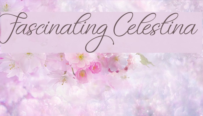 Fascinating Celestina Font examples