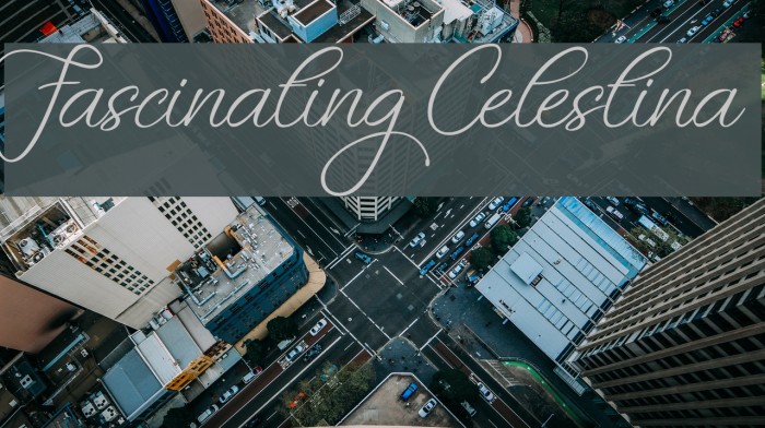 Fascinating Celestina Font examples