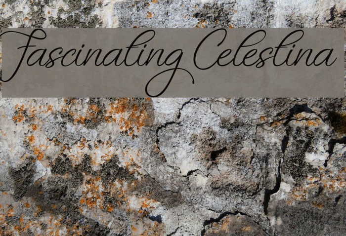Fascinating Celestina Font examples