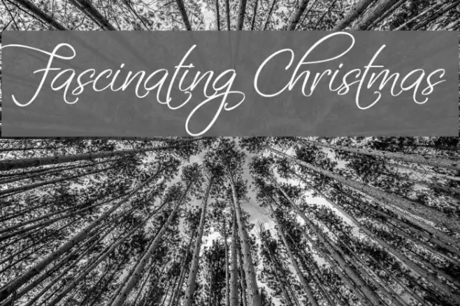 Fascinating Christmas Font examples