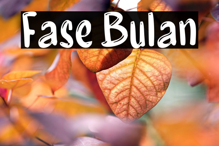 Fase Bulan Example 2