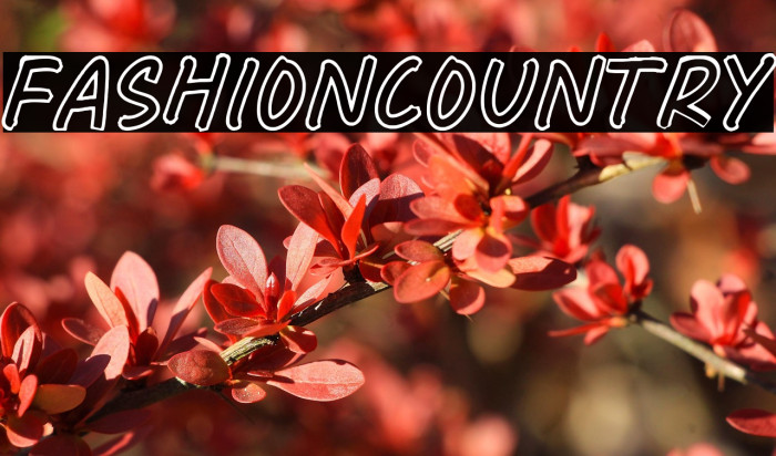 Fashion Country Example 3