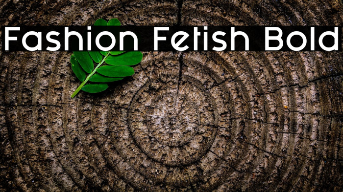 Fashion Fetish Bold Example 1