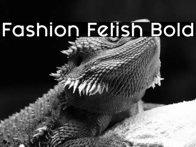 Fashion Fetish Bold Font examples