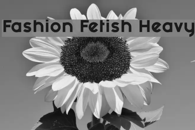 Fashion Fetish Heavy Font examples