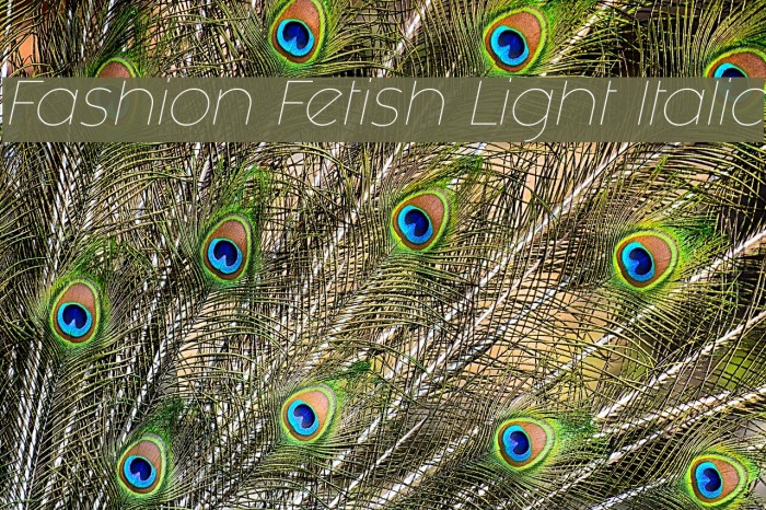 Fashion Fetish Light Italic Font examples