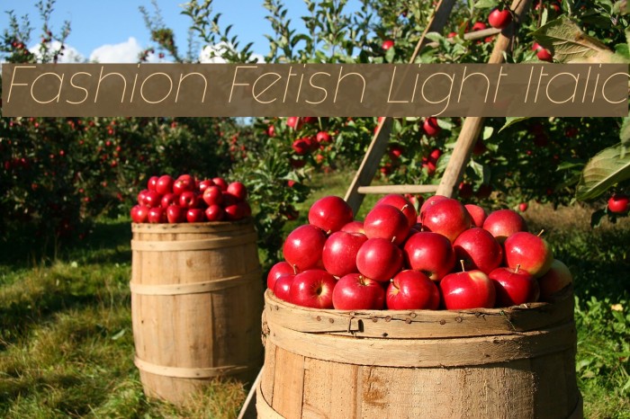 Fashion Fetish Light Italic Font examples