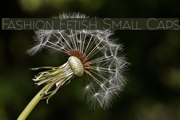 Fashion Fetish Small Caps फ़ॉन्ट examples