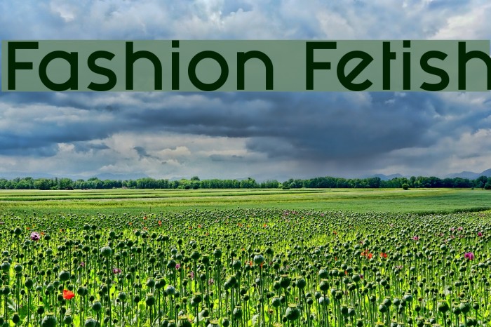 Fashion Fetish Font examples