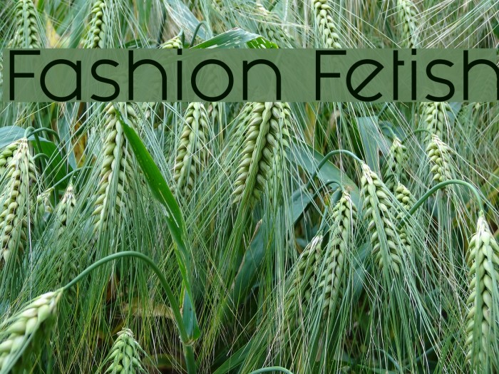 Fashion Fetish Example 1