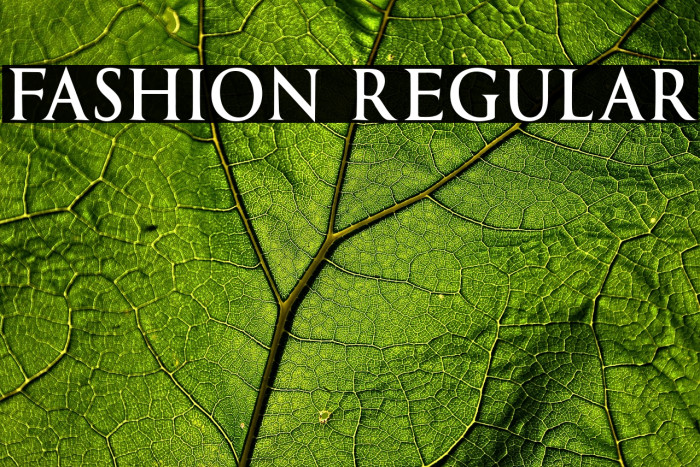 Fashion Regular Example 1