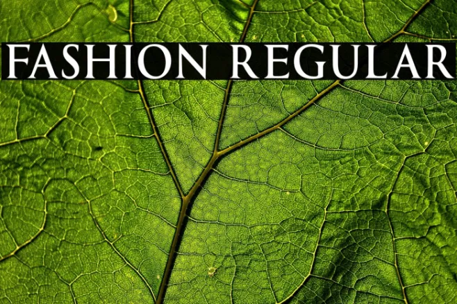 Fashion Regular Example 1
