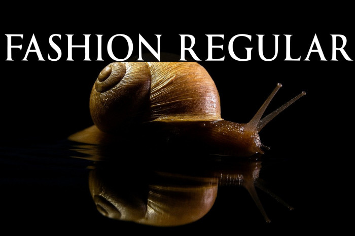 Fashion Regular Example 3