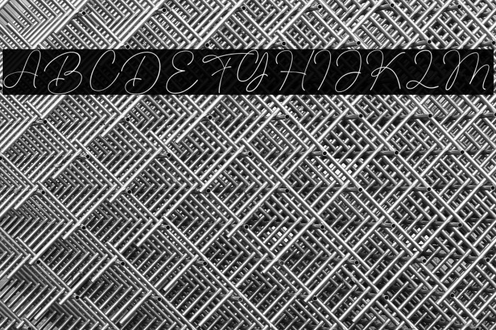 Fashion Script Example 2