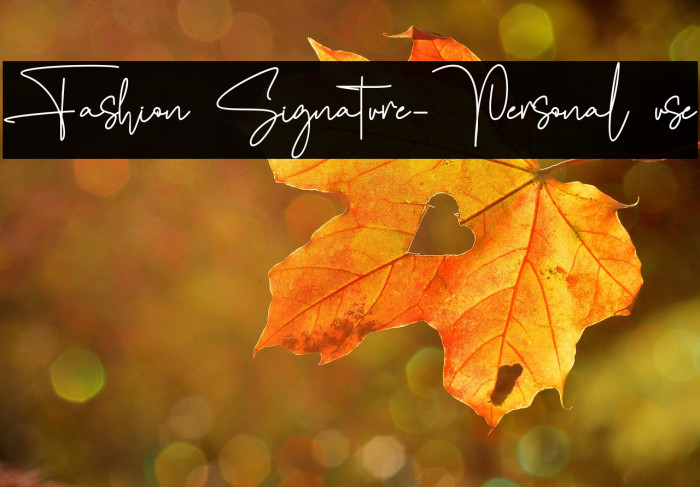 Fashion Signature-Personal use Example 2