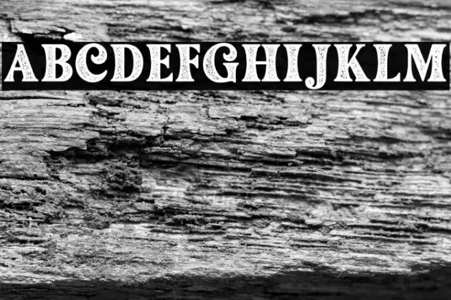 Fashion Stamp Font examples