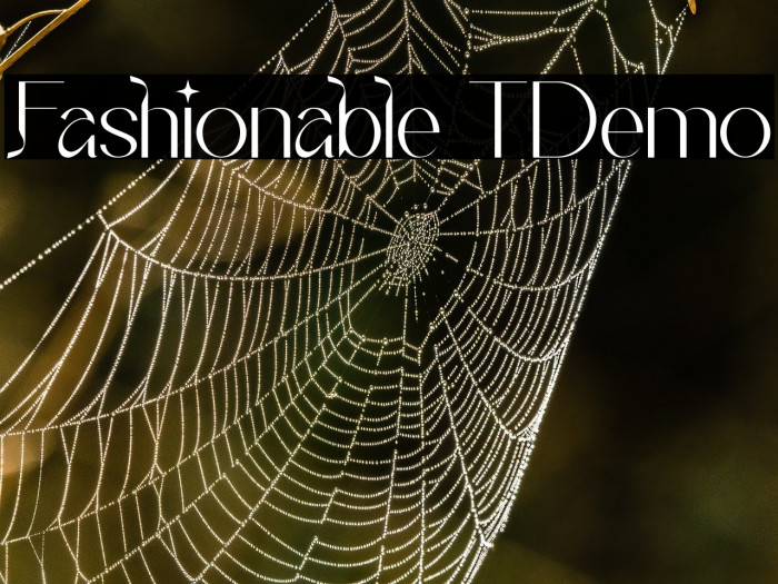 Fashionable T Demo Example 2