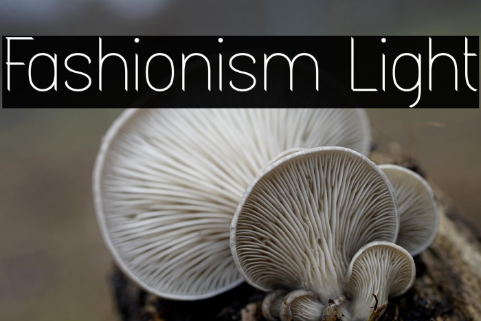 Fashionism Light Example 1