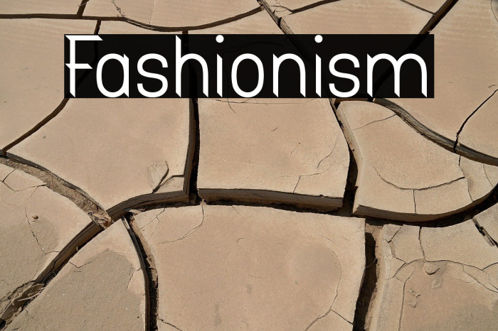 Fashionism Example 1