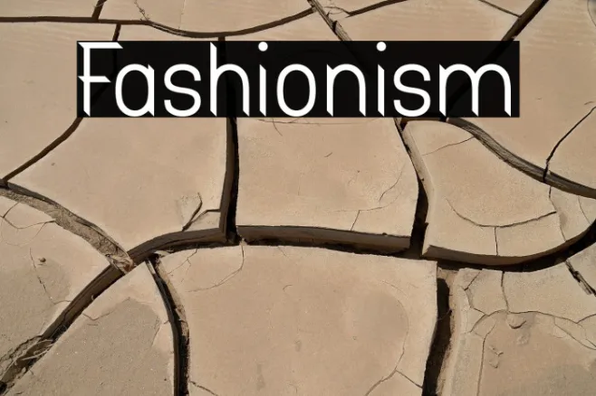 Fashionism Example 1