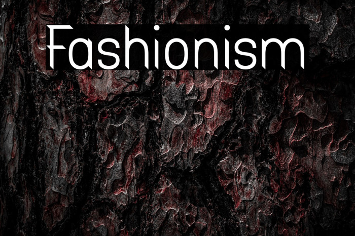 Fashionism Example 2