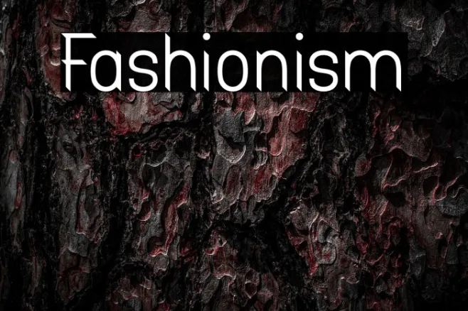 Fashionism Example 2