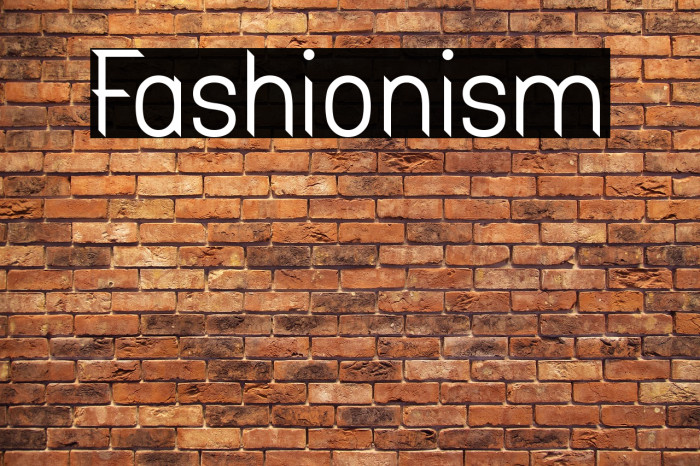 Fashionism Example 3