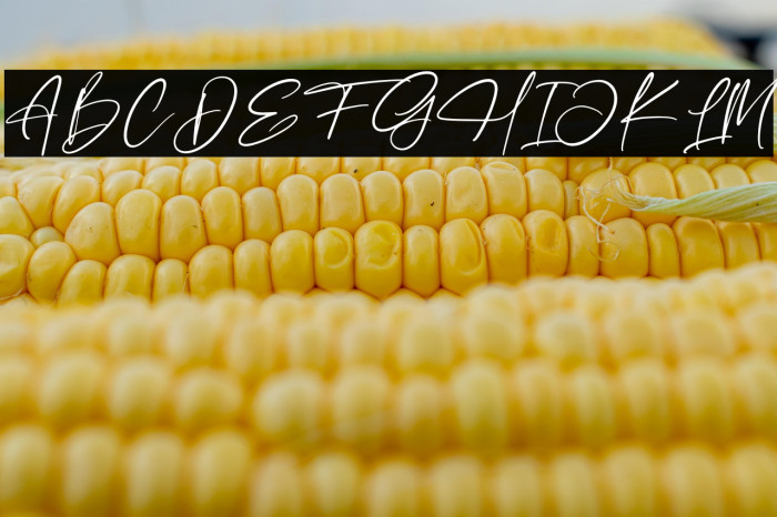 Fasifik Capture Example 1