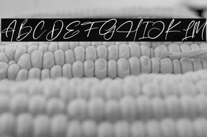 Fasifik Capture Font examples