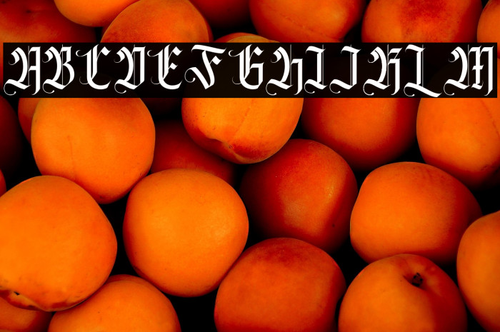 Fasigeko Regular Example 1