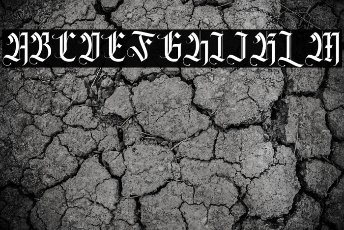 Fasigeko Regular Example 3