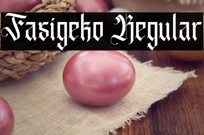 Fasigeko Regular Example 1