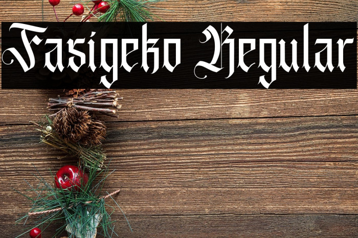 Fasigeko Regular Example 2