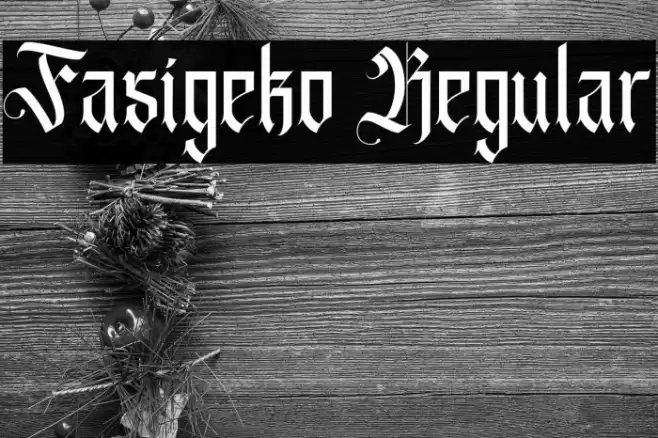Fasigeko Regular Font examples