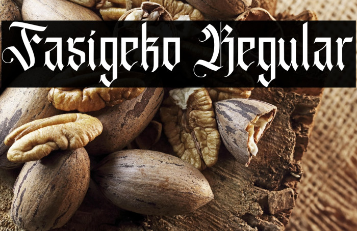 Fasigeko Regular Example 3