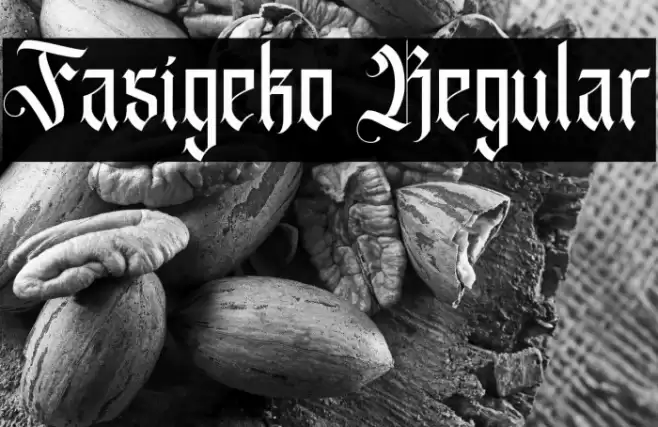 Fasigeko Regular Font examples