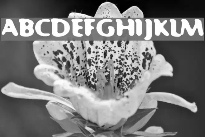 Fast 99 フォント examples