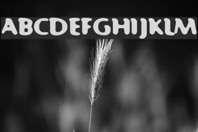 Fast 99 フォント examples