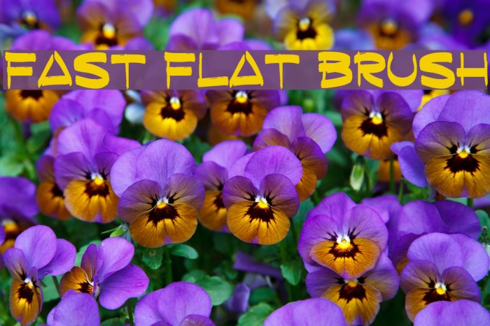 Fast Flat Brush Font examples