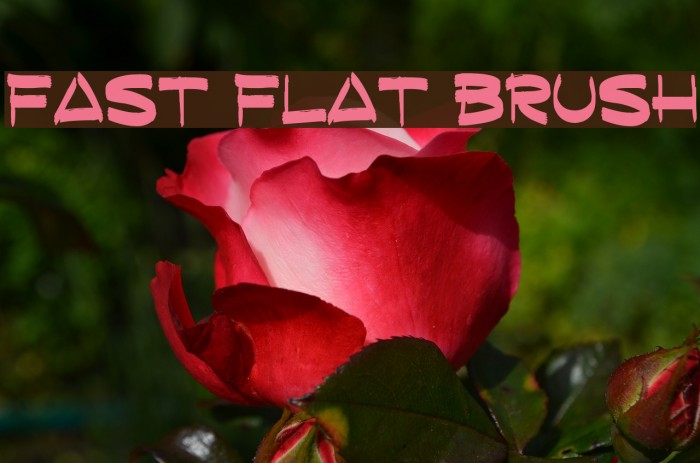 Fast Flat Brush Font examples