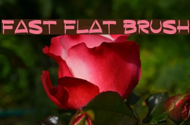 Fast Flat Brush Example 3