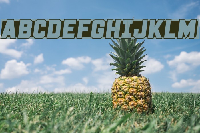 Fast Forward Example 3