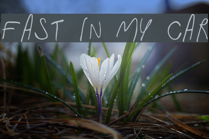 Fast In My Car Example 1