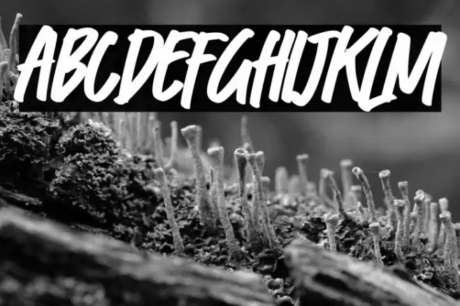 Fast Lane Font examples