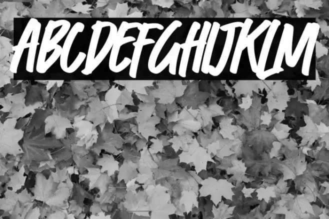 Fast Lane Font examples