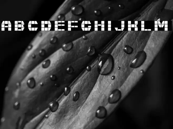 Fast Money Regular Font examples