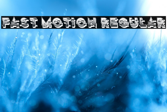 Fast Motion Regular Example 2